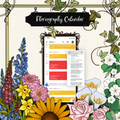 Floriography Calendar: A Monthly Study of the Meaning behind Flowers